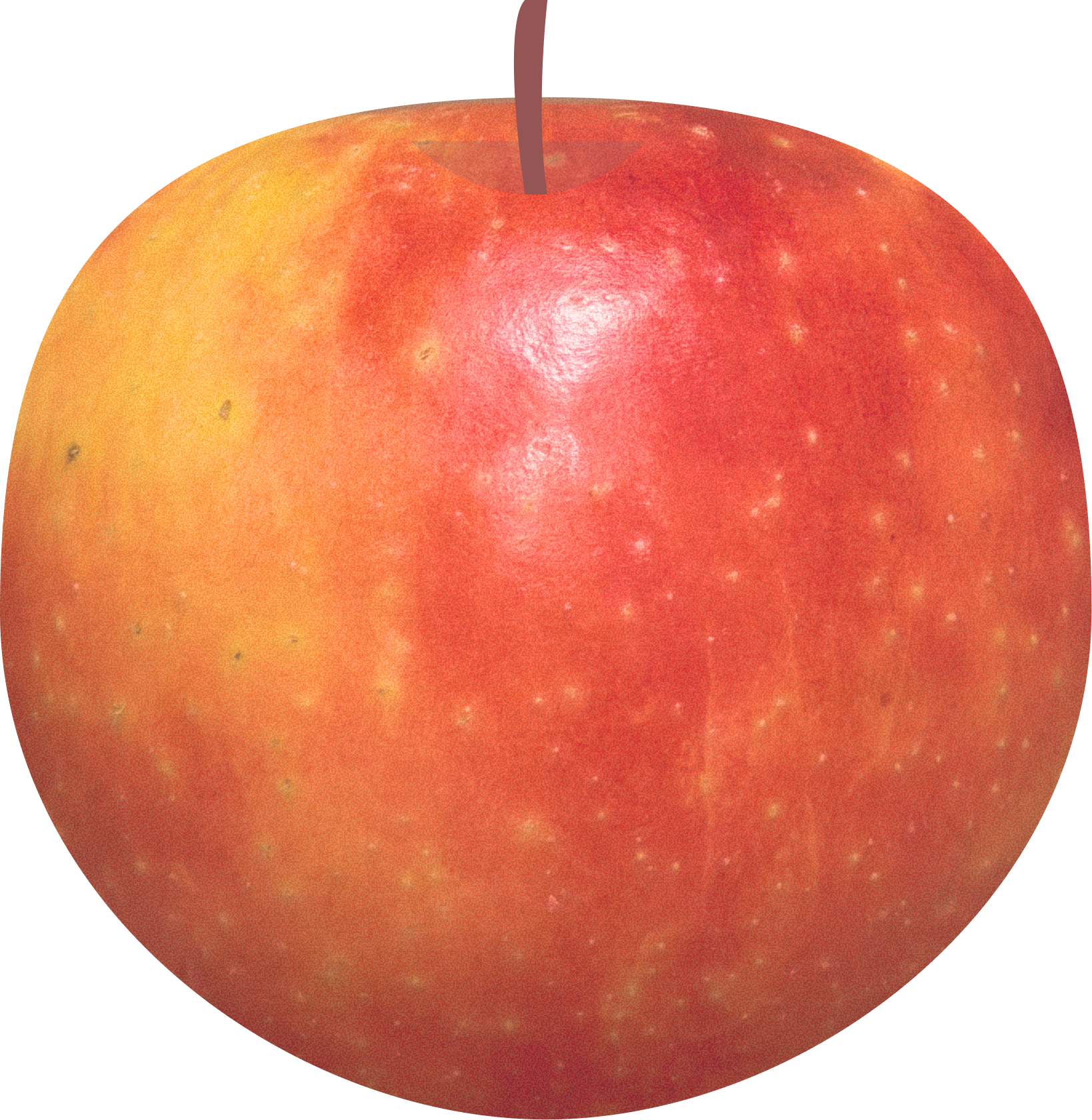 Kanzi apple