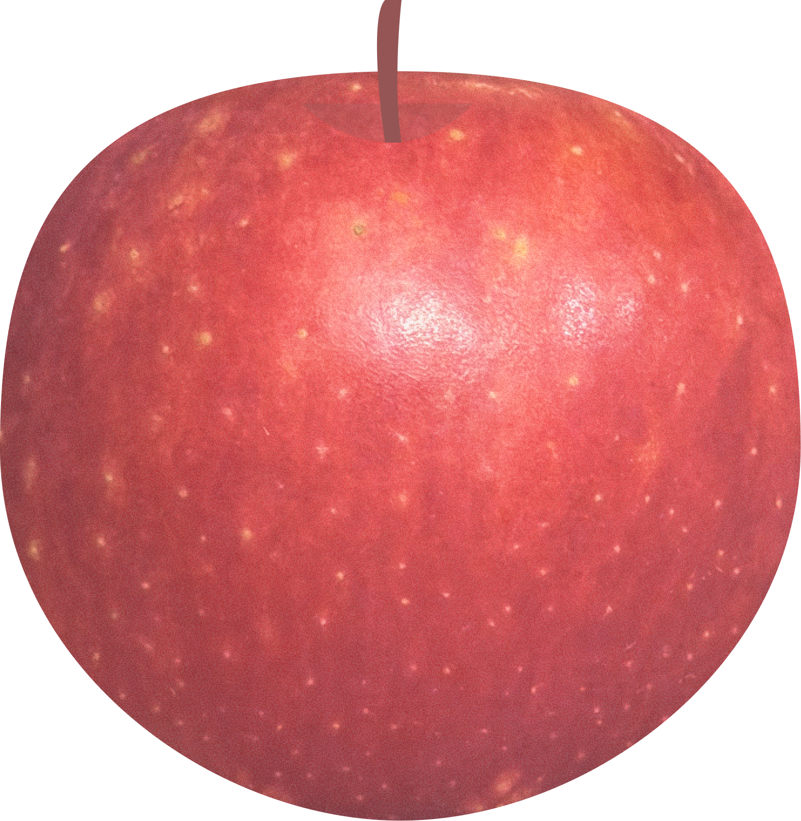 SugarBee Organic apple